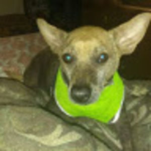 Meet your Posher, Larry